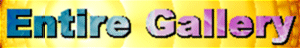 Entire MMFrac Gallery
